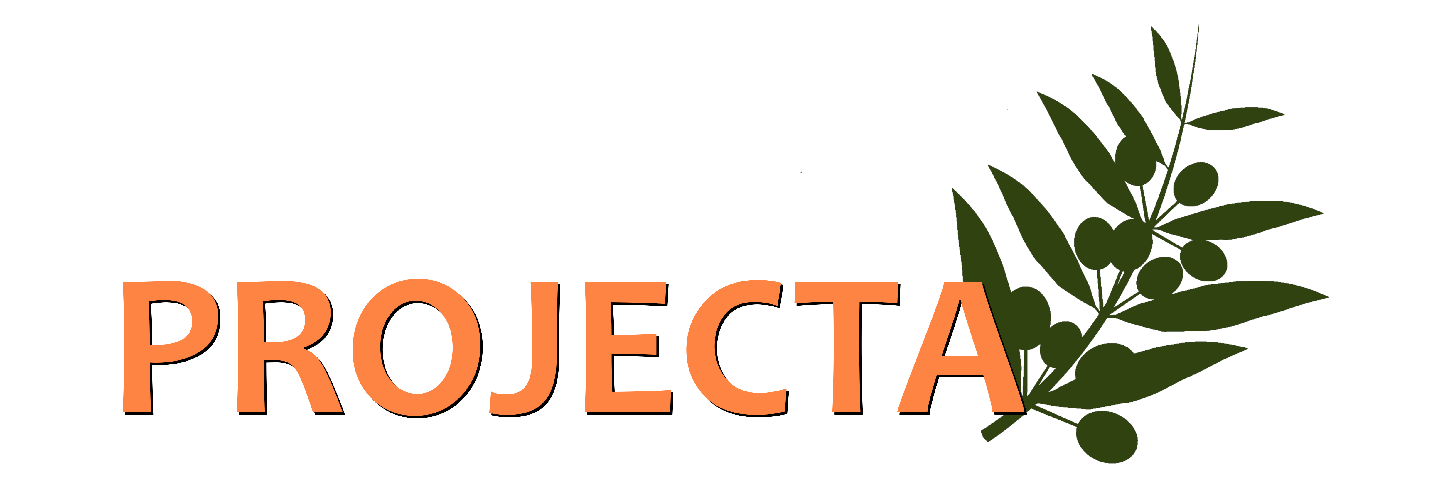 Projecta Gestió
